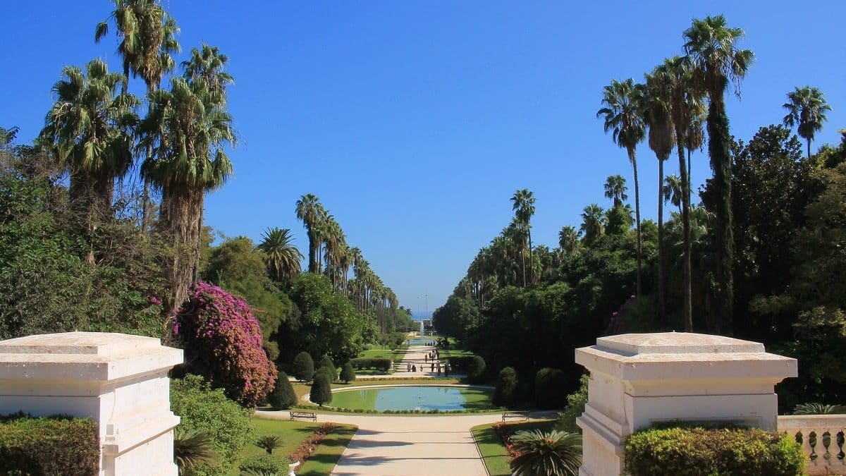 jardin alger