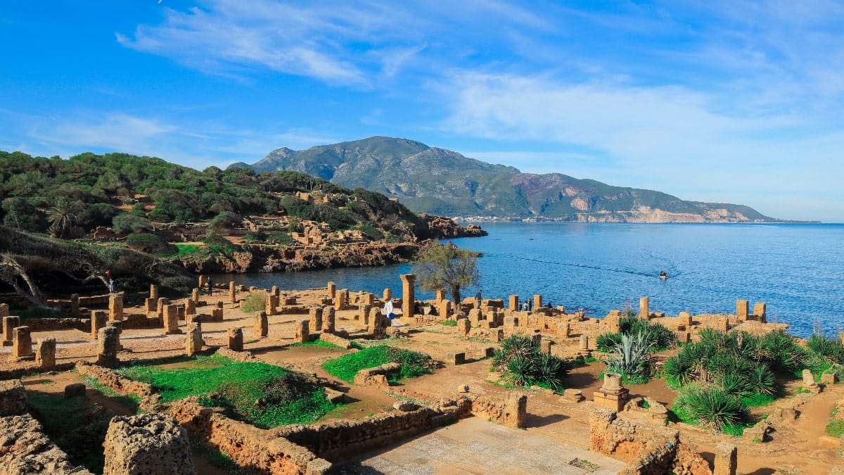tipaza