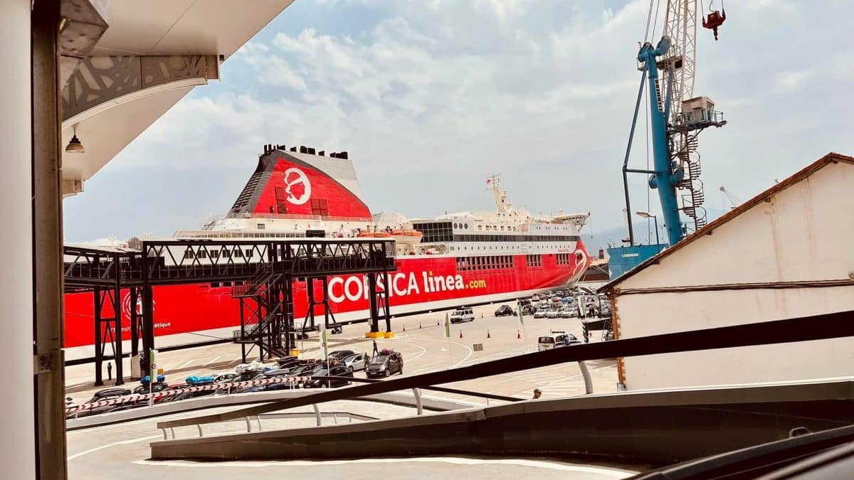 corsica linea Algérie