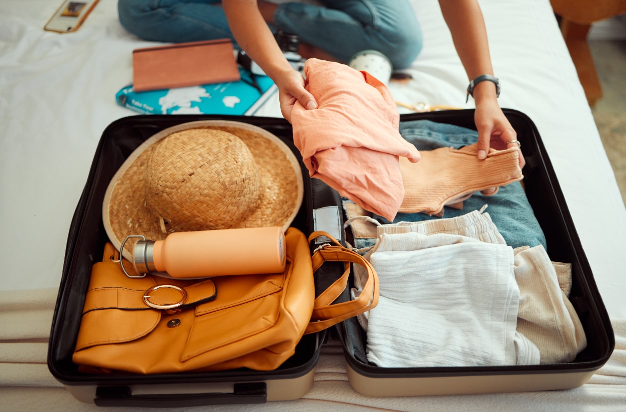 valise voyage bagage 