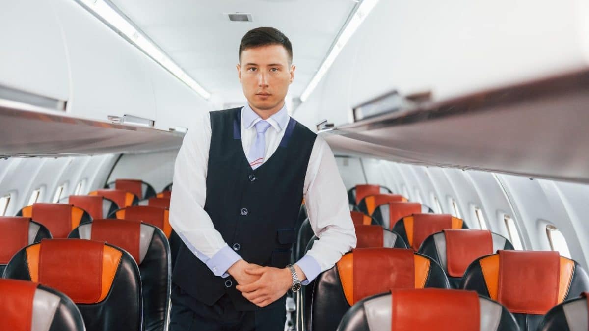 avion steward