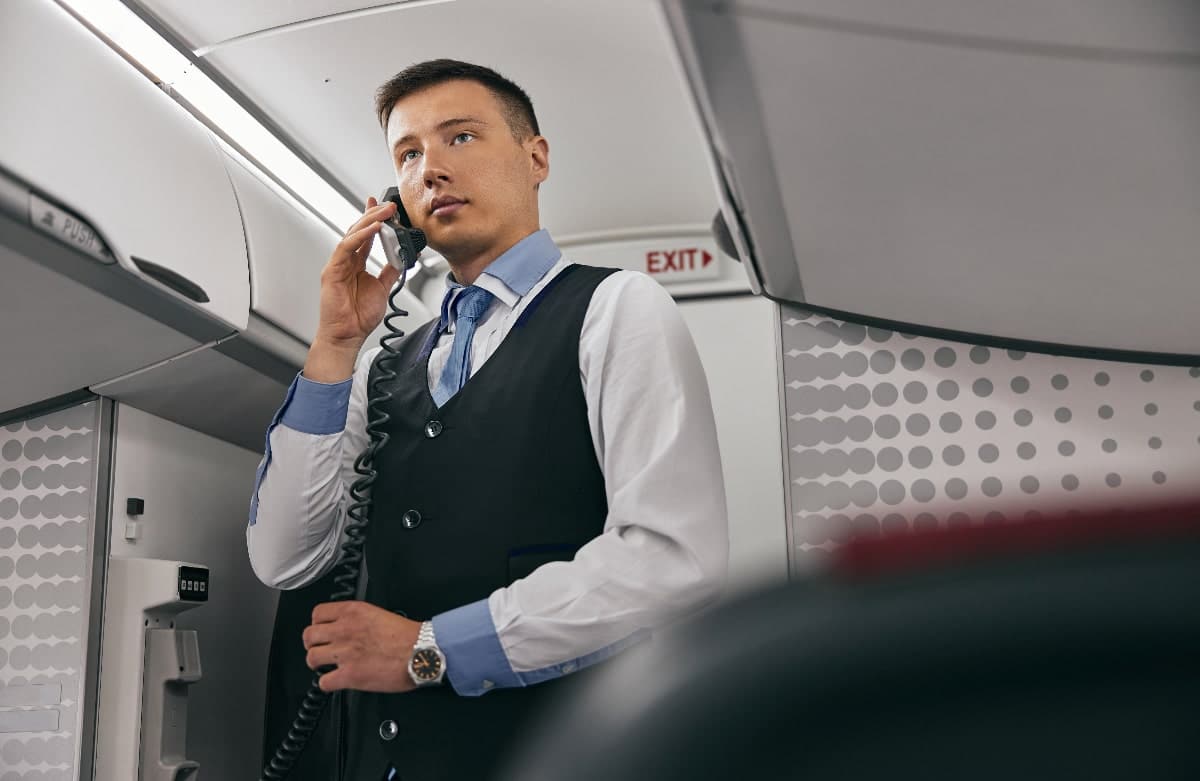 avion steward