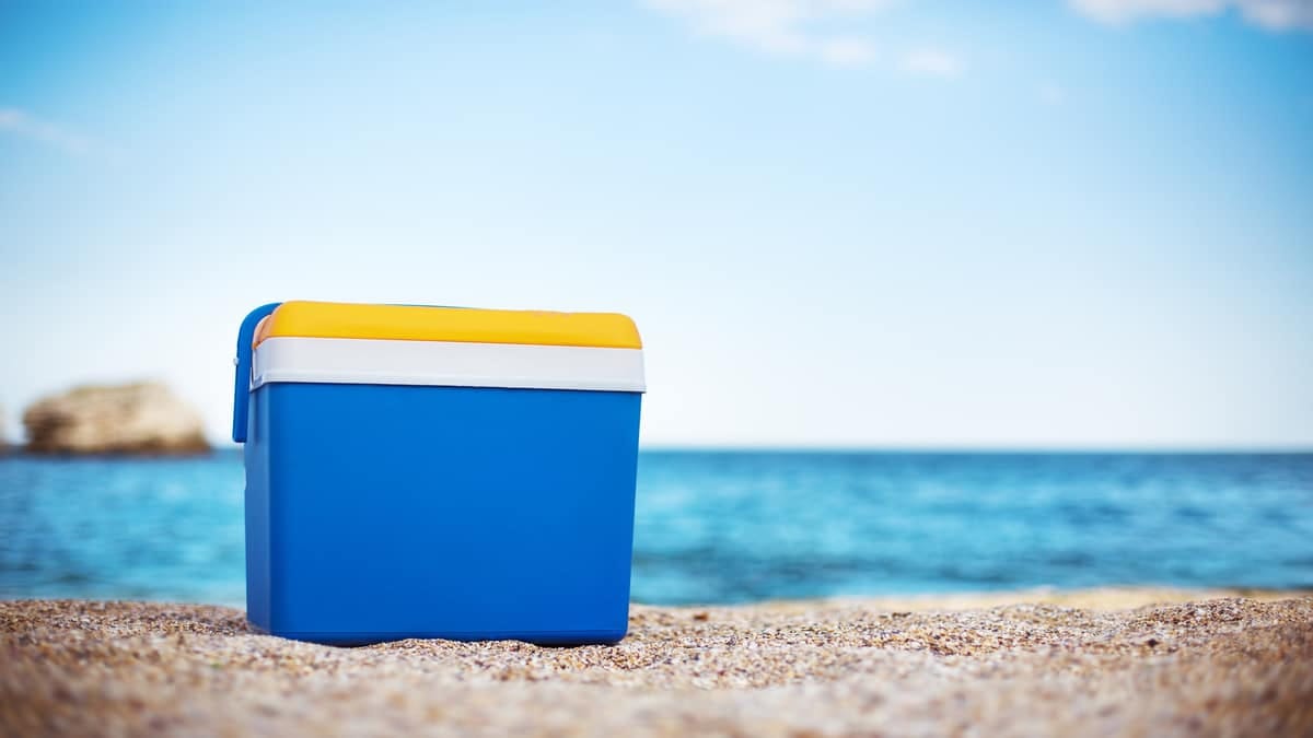 Les touristes français raillés pour leur comportement sur une plage chic en Belgique. Image par : Gerisima | Adobe stock