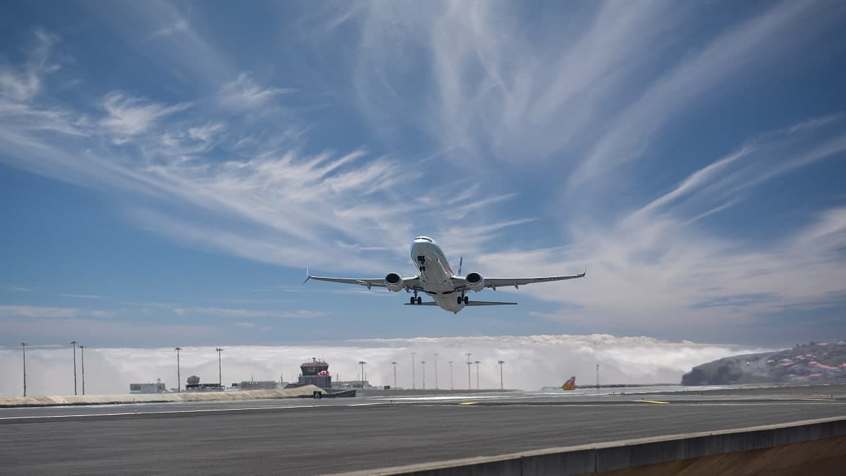 Turkish Airlines : le prix choquant d’un billet Istanbul – Alger