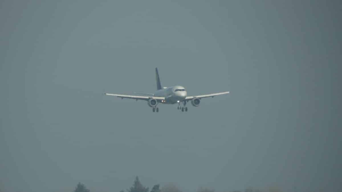 lufthansa