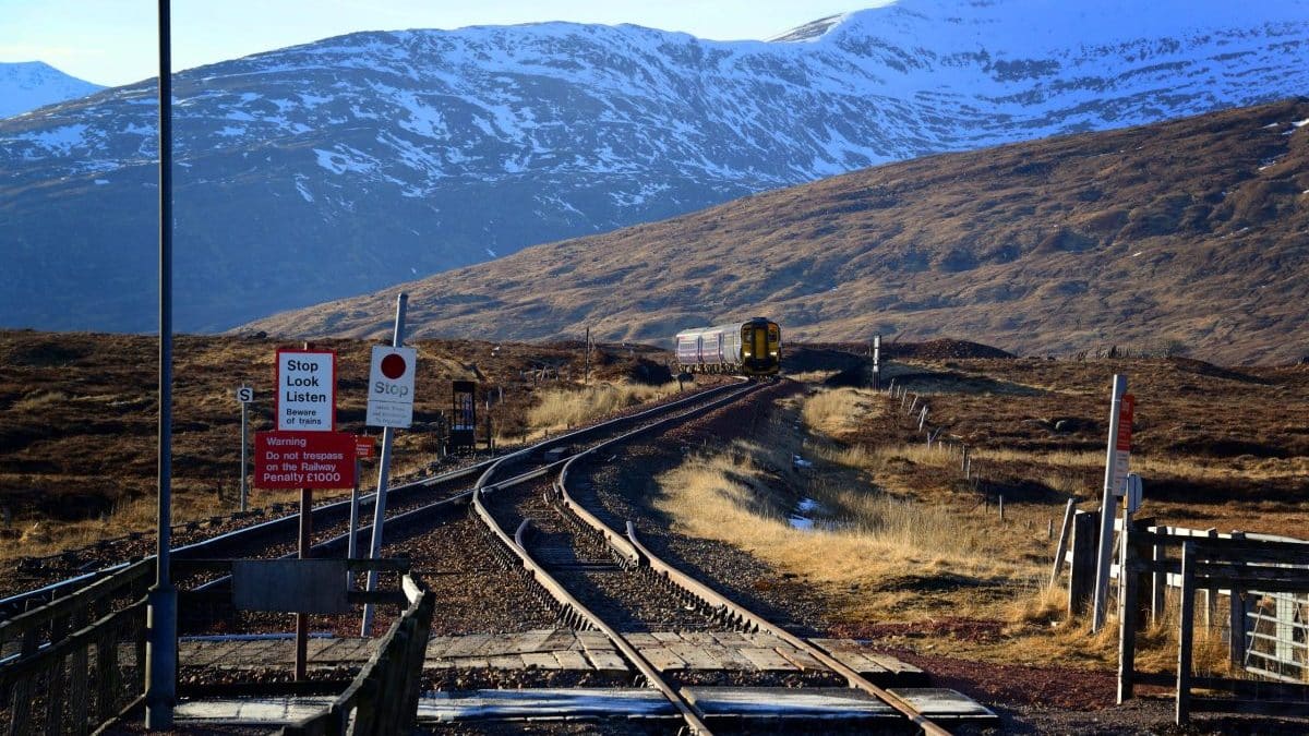 train