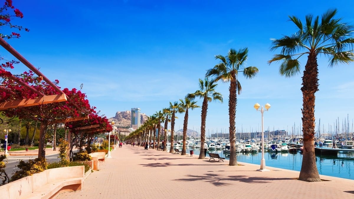 Alicante