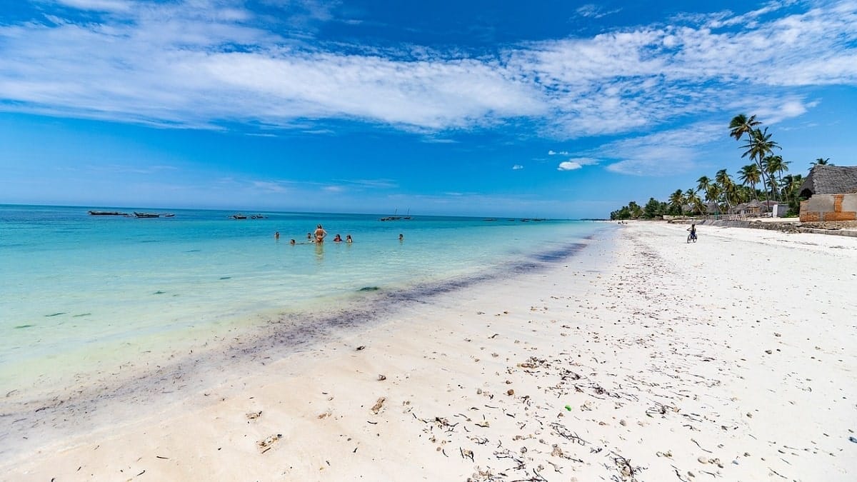 Voyage : une vidéo qui montre la réalité à Zanzibar remue TikTok