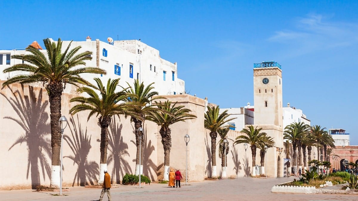 Essaouira, ville touristique populaire, envahie par les sangliers