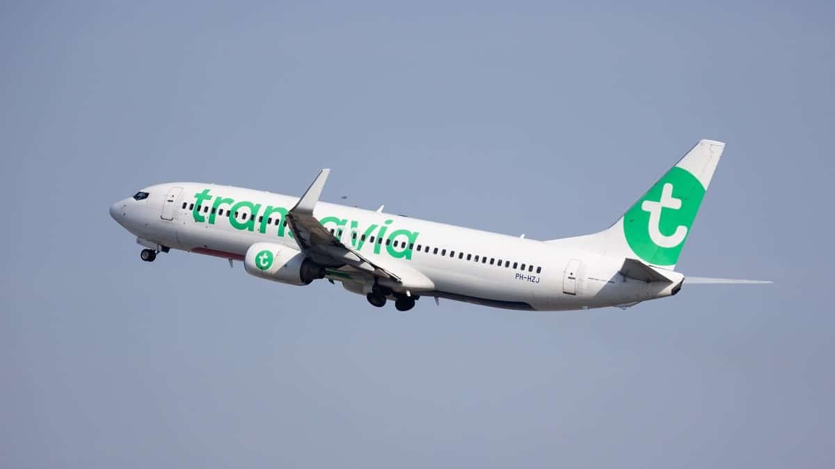 Transavia accélère en Algérie : nouvelle ligne et première agence commerciale