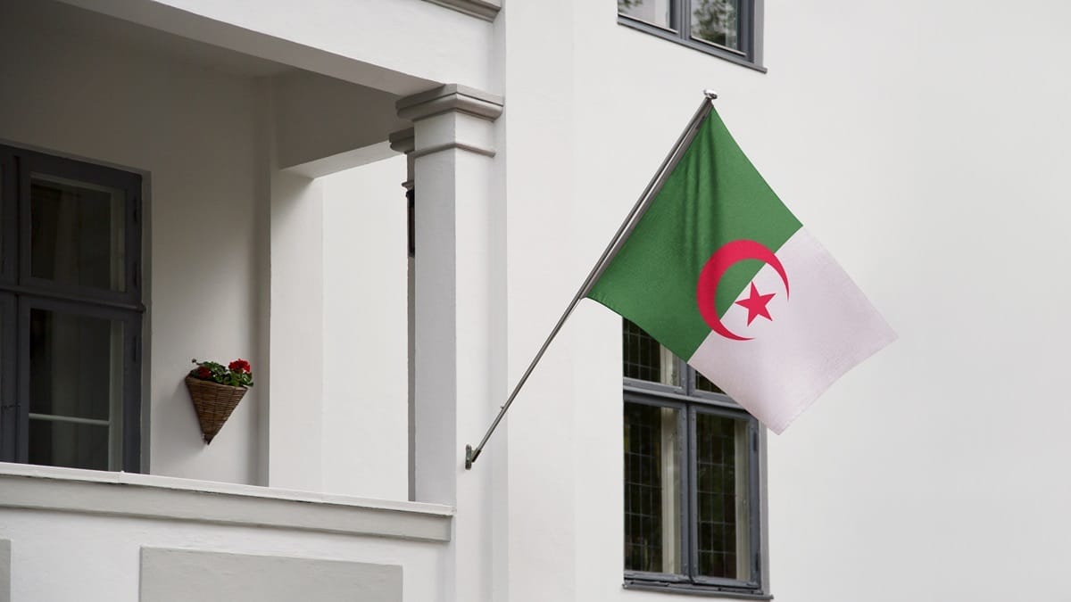 Algériens de France : « À 5 h du matin devant les consulats d’Algérie »