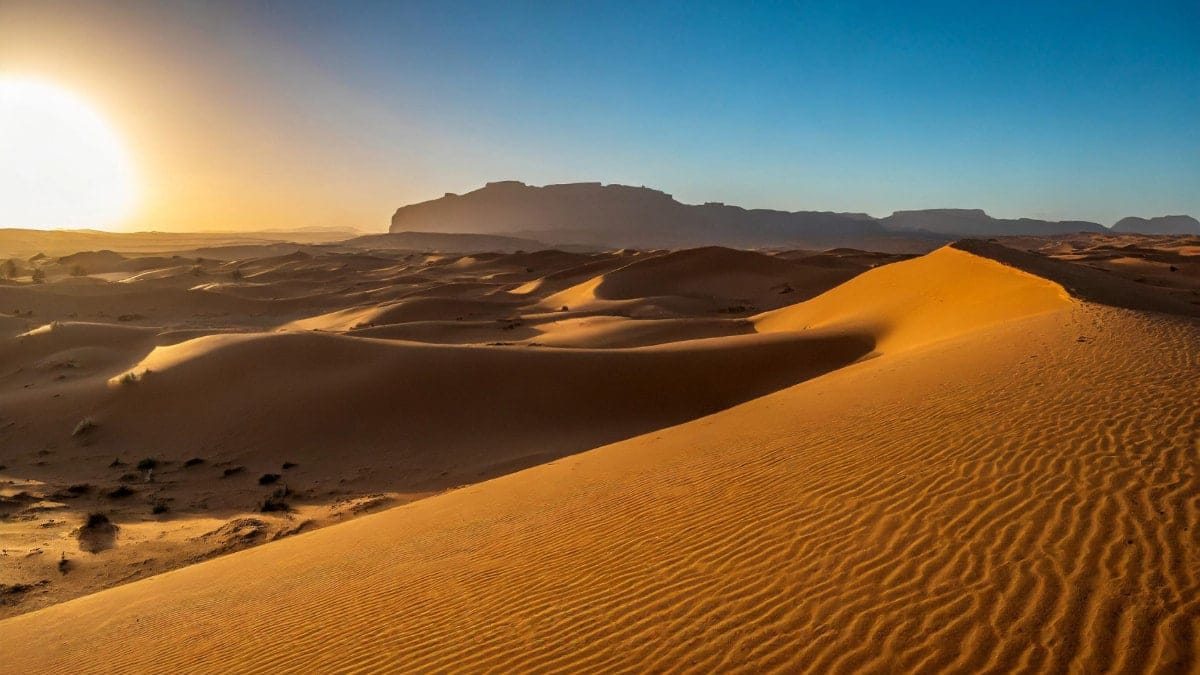 Sahara