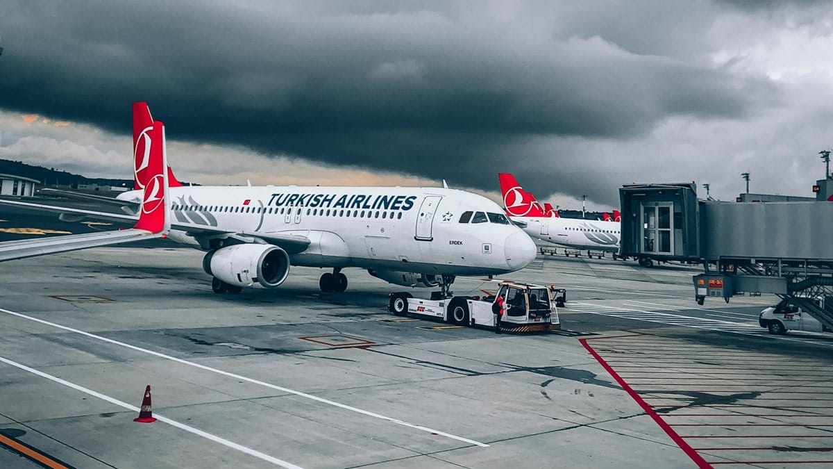 Turkish Airlines punaises de lit