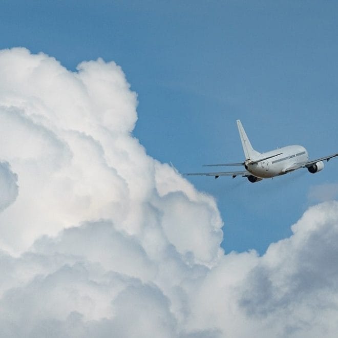 Air Algérie, Transavia, ASL, Algérie Ferries, GNV…5 infos à retenir