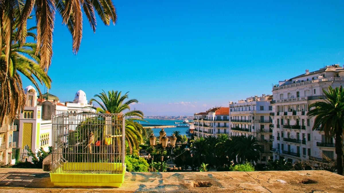Peut-on vivre en Algérie sans parler arabe ? Une expatriée répond