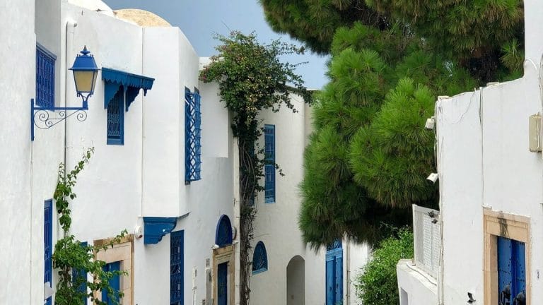 Voyage en Tunisie : cette ville incroyable est comparée à Santorin, voici pourquoi