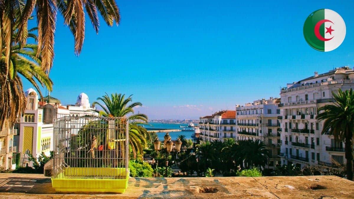 Été 2025 : l’Algérie dans le top des destinations en France grâce à sa diaspora