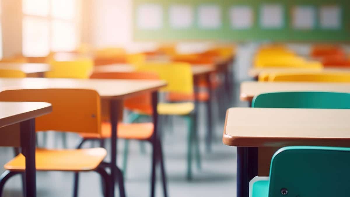 Scolariser ses enfants en Algérie : une Algérienne de France raconte son expérience