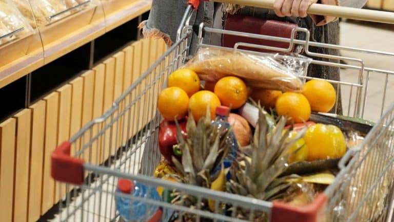 Coût de la vie en Algérie : « voici un panier de courses à 18 € »