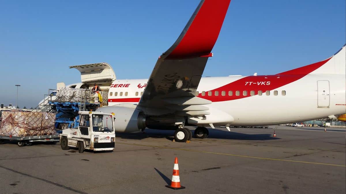 Fruits, légumes, électronique… Air Algérie transporte de plus en plus de produits algériens