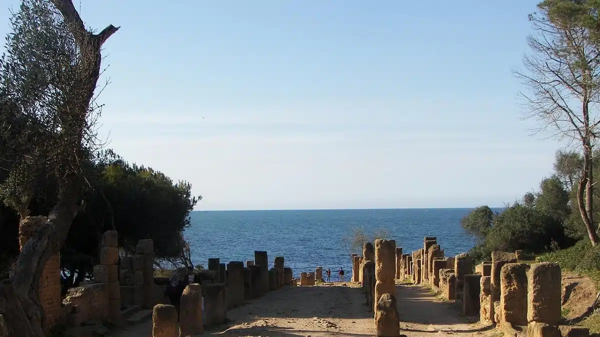 Vidéo. Algérie : un touriste français découvre Tipaza