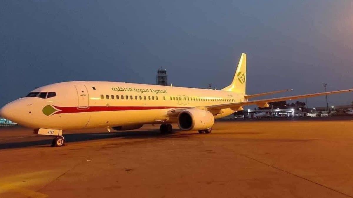 Algérie : voici comment réserver un vol Domestic Airlines