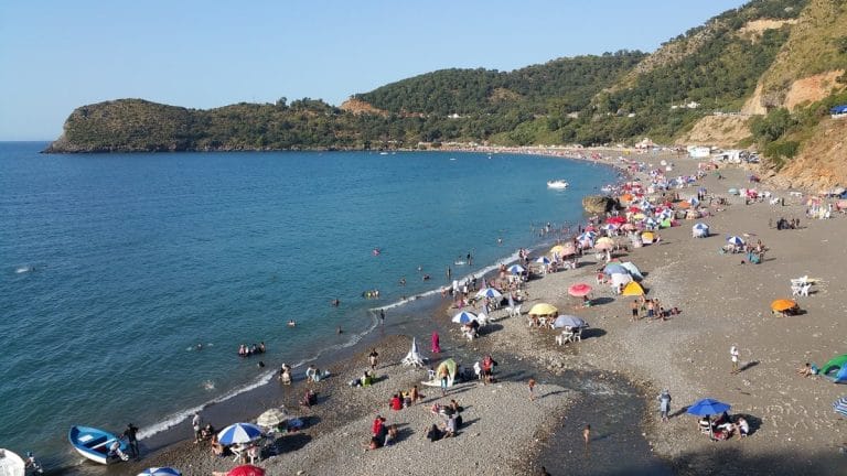 Vacances en Algérie : la fin de l’été gâchée par la canicule et les feux de forêt