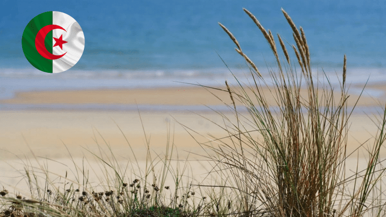 Vidéo. Algérie : étrange phénomène naturel sur les plages