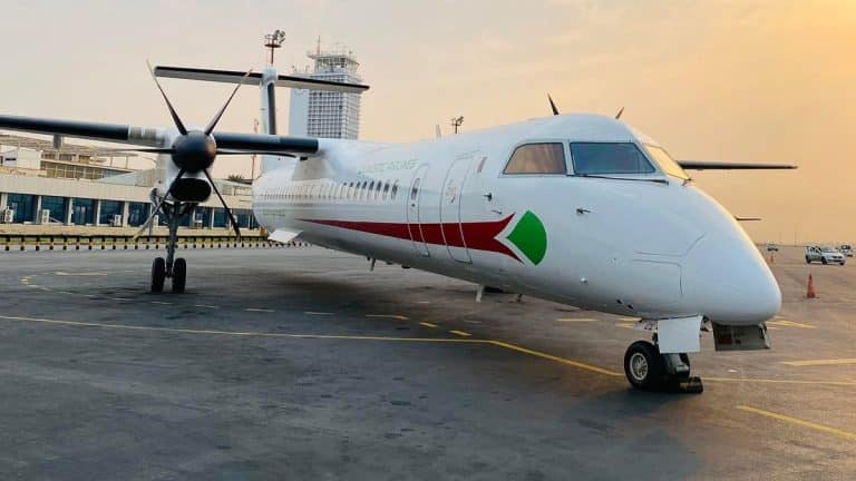 Photos. Air Algérie : les premiers avions aux couleurs de Domestic Airlines prêts à décoller