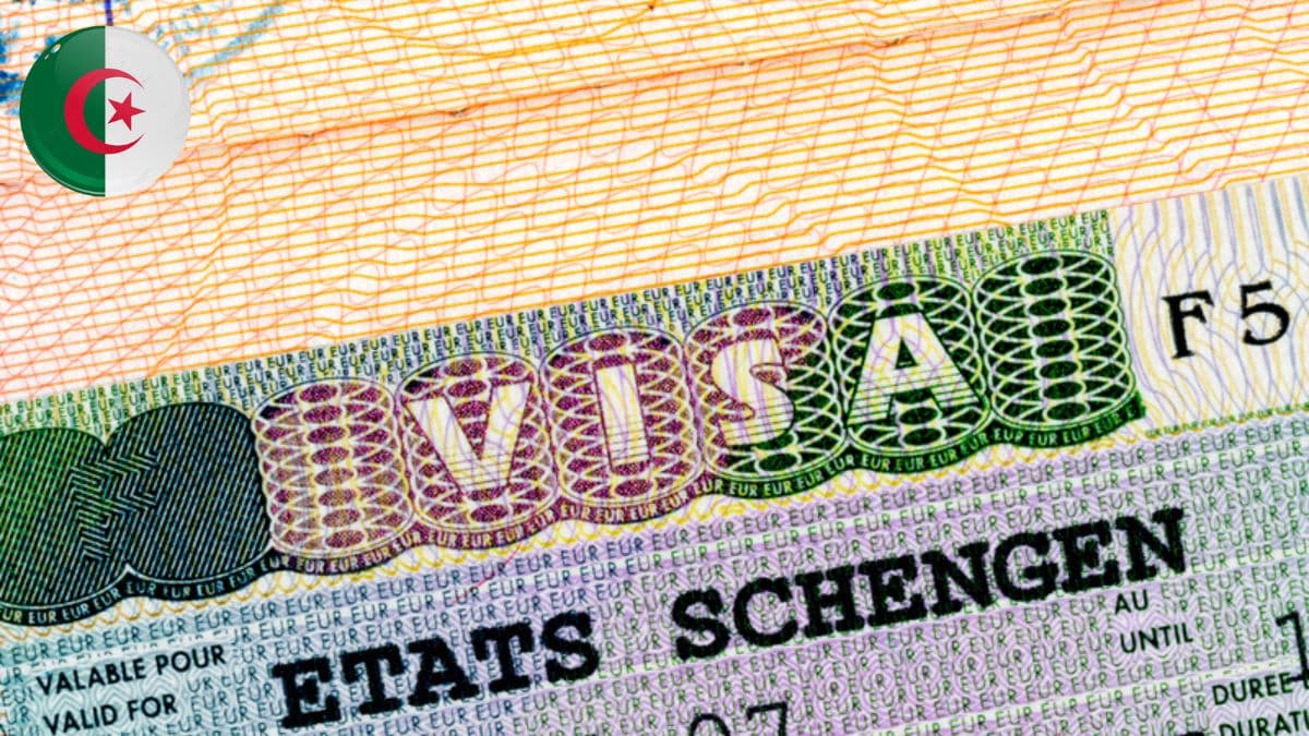 Suspension du visa D pour les Algériens : le point sur la situation