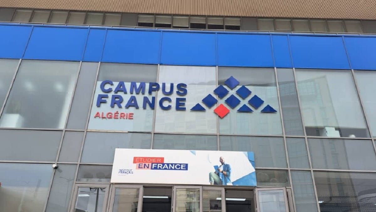 Le nombre de visas d’études accordés par la France aux étudiants algériens vient d’être dévoilé