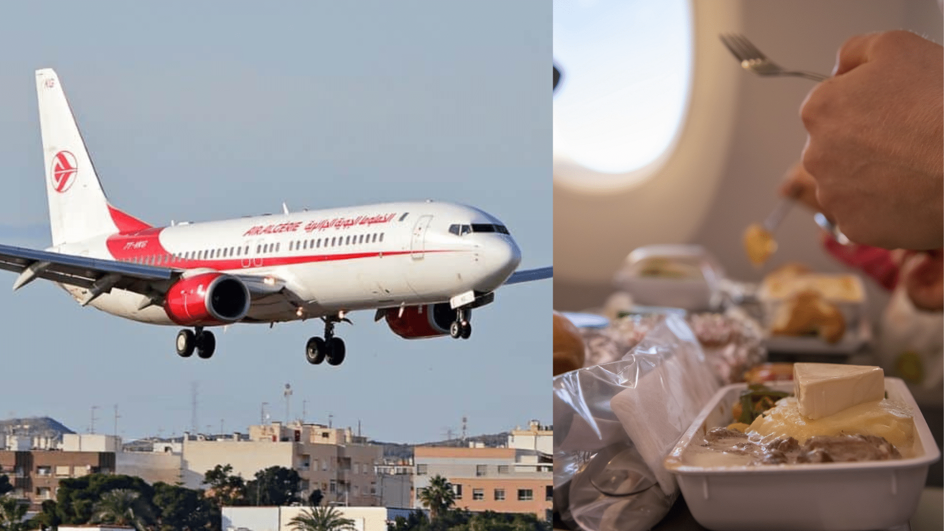 Air Algérie : ces produits 100% algériens bientôt servis à bord