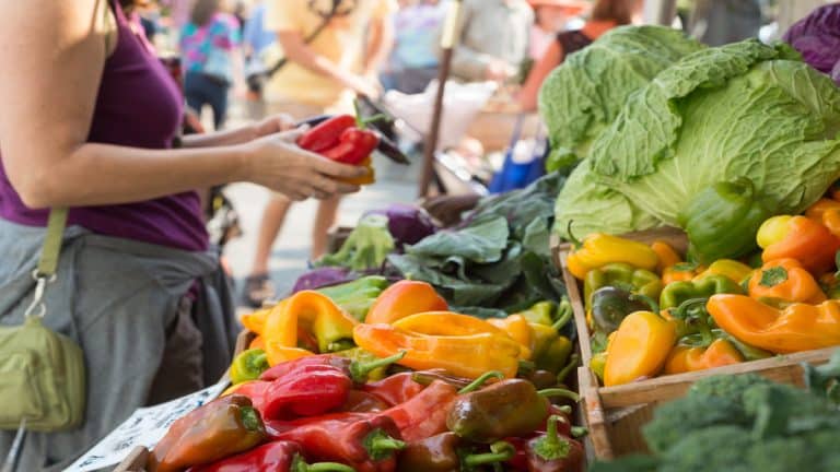 Vidéo. Algérie : un marché inédit réservé aux femmes