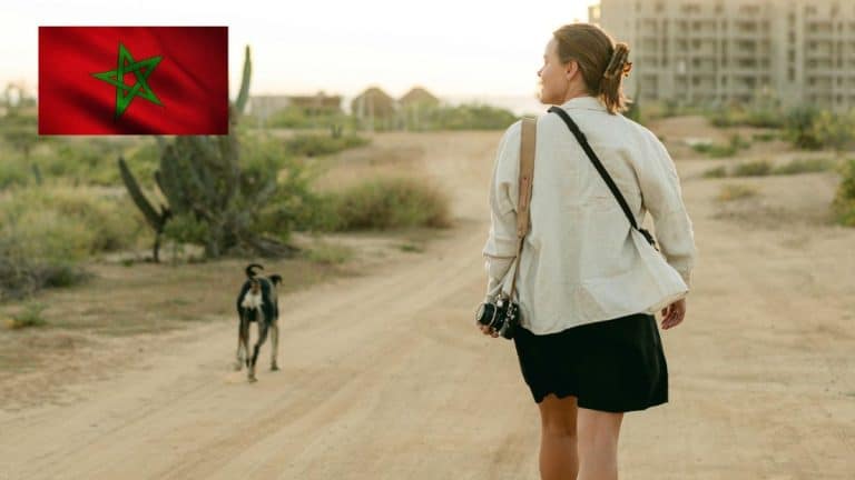 Maroc : une chienne suit une touriste sur 100 km… et change de vie