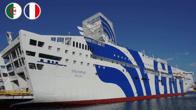 Ports français : voici comment sont contrôlés les voyageurs venus d’Algérie