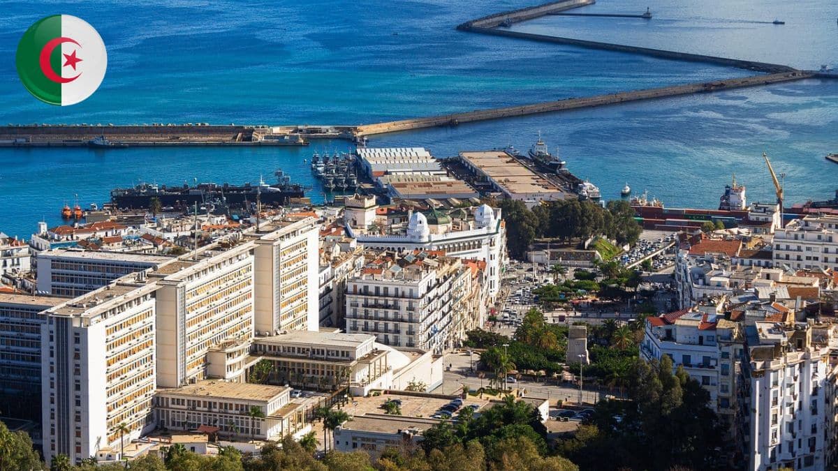 Alger plan de transformation