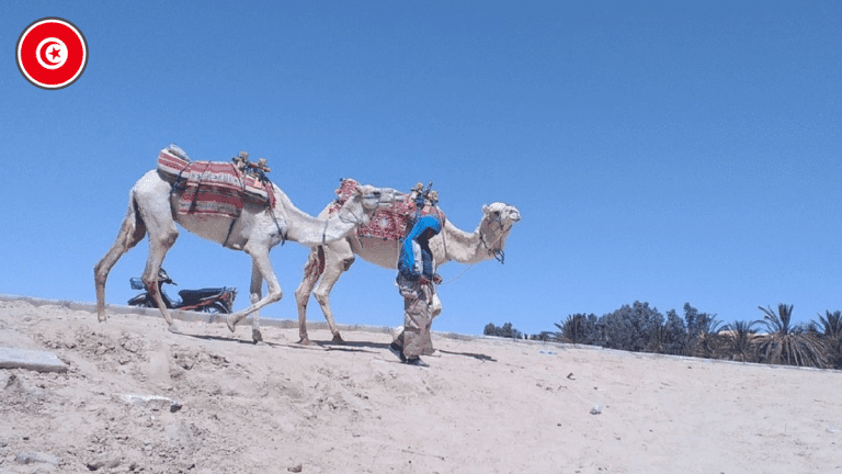 Important regain touristique dans la ville de Tozeur en Tunisie