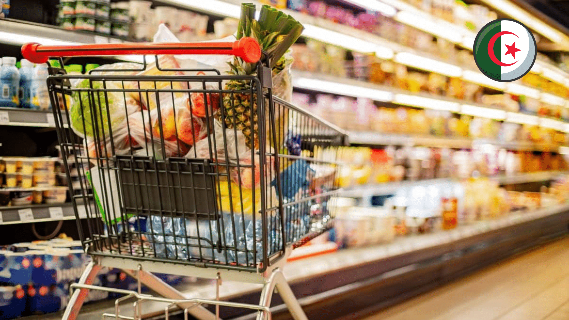 Flambée de l’euro : une expatriée en Algérie montre ce qu’elle a acheté pour 27€