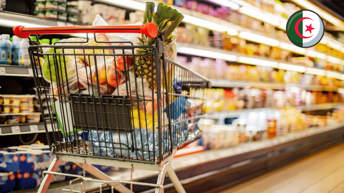 Deglet Nour Algérie