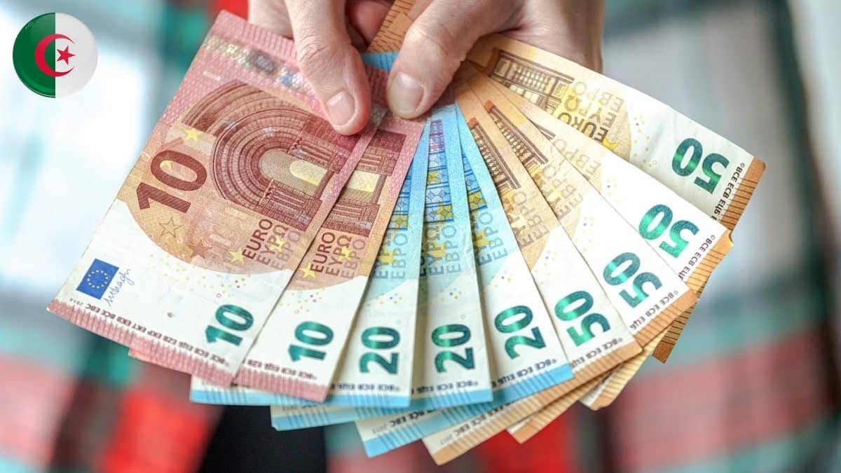 Algérie : après avoir battu des records, l’euro reprend son souffle