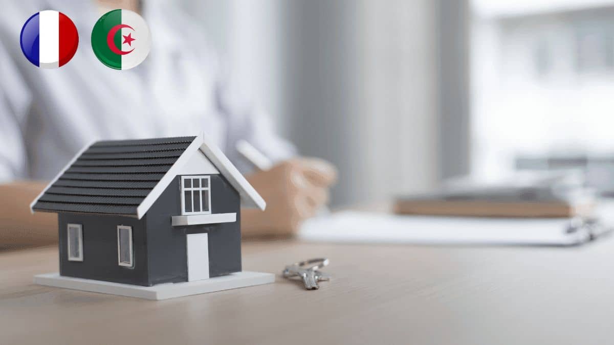 Consulats, logement… des jeunes de la diaspora algérienne partagent leurs préoccupations