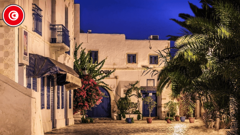 La défaillance du secteur aérien a impacté négativement le tourisme dans les régions de Tozeur et de Djerba en Tunisie