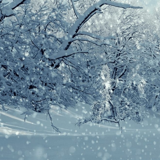 La neige de retour en Algérie alors que débutent les vacances de la diaspora