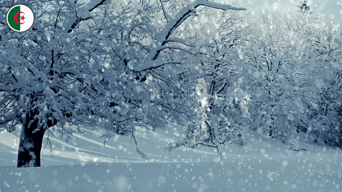 La neige de retour en Algérie alors que débutent les vacances de la diaspora