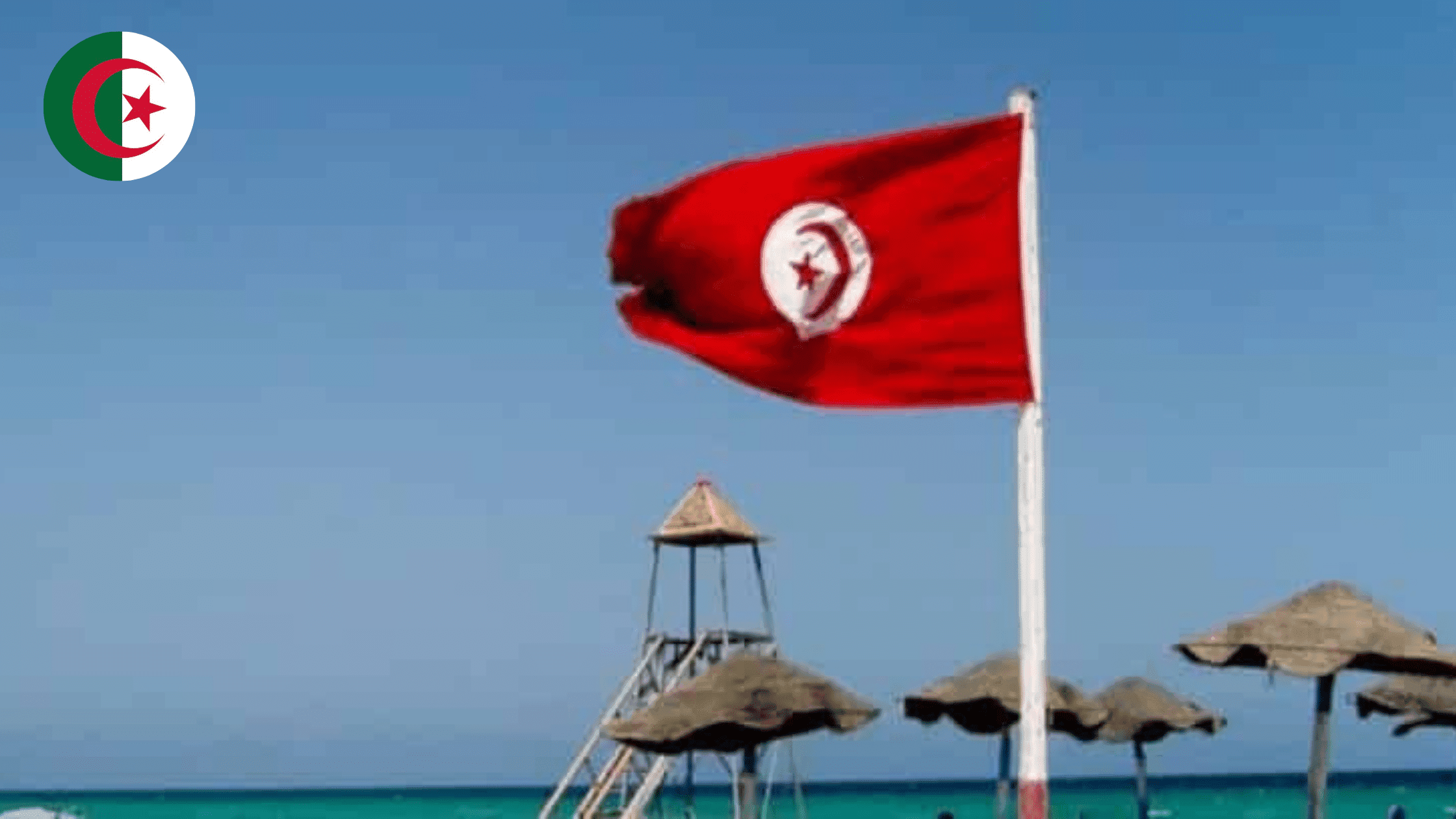 Algérie – Tunisie : coup d’arrêt soudain pour les agences de voyages algériennes