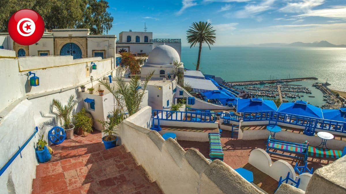 Sorry! Image not available at this time