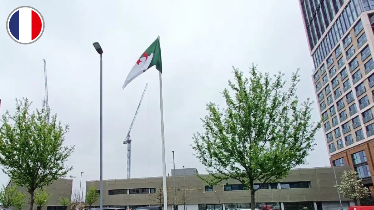 Service national : avis important aux jeunes de la diaspora algérienne en France