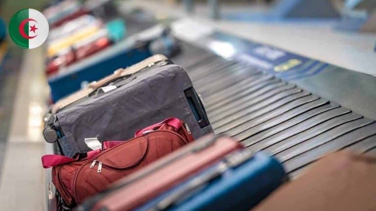 Vols de bagages à l’aéroport d’Alger : 7 ans de prison pour l’auteur
