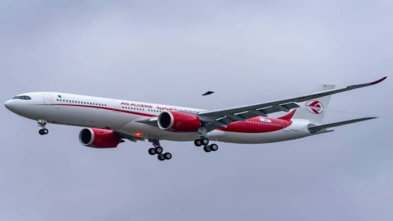 Un voyageur étranger attaque Air Algérie, des internautes réagissent