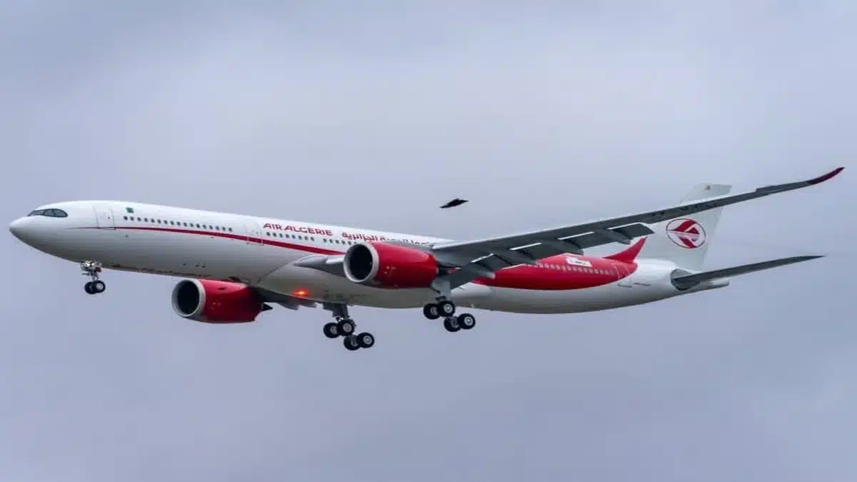 Un voyageur étranger attaque Air Algérie, des internautes réagissent